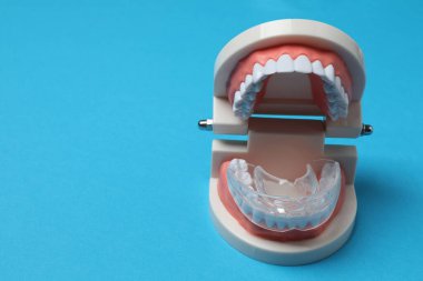 çene modeli, diş fırçası, mavi arkaplanda diş bakımı araçları