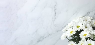 Beyaz arka planda beyaz çiçekler. Çiçek bileşimi