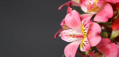 İnanılmaz çiçeklerin açtığı yeri kapatın.