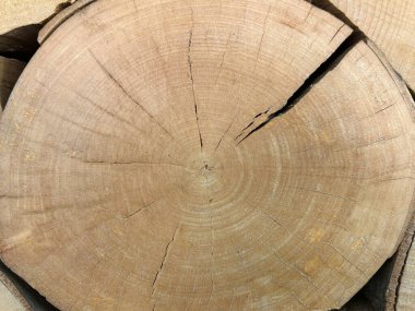 ahşap doku arka plan, doğal arkaplan.