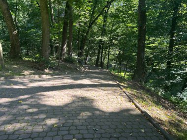 Parkın güzel manzarası