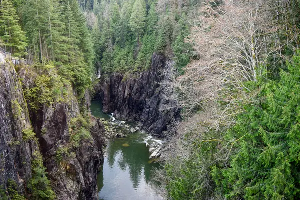 Kuzey Vancouver, British Columbia, Kanada 'daki Cleveland Barajı' nın aşağısındaki, yemyeşil ormanlar ve engebeli uçurumlarla çevrili nehir vadisinin çarpıcı manzarası..