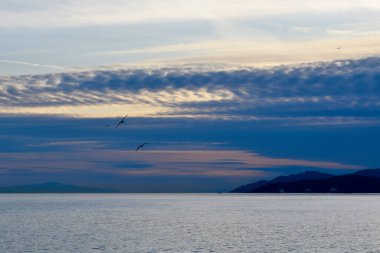 Batı Vancouver 'daki Ambleside Sahili' nde yakalanan bu çarpıcı günbatımı gökyüzünü altın renklerle boyarken sürüklenen bulutlar ve yükselen deniz kuşları büyüleyici ve sakin bir sahil sahnesi oluşturur.