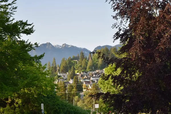 Batı Vancouver 'daki verimli bahar yeşillikleriyle çevrili tepedeki evler, Ambleside Sahili' nden sakin bir kıyı manzarası sunuyor, doğa ve mimari arasındaki uyumu gösteriyor.