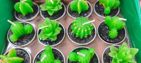 Siyah balmumuyla doldurulmuş gümüş teneke kutulardaki küçük yeşil kaktüs şekilli mumlar düzgün bir şekilde dizilmiş. Bazı mumlar sarı aksanlıdır..