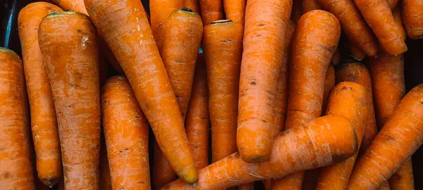 Canlı bütün havuçlar taze toplanmış ve bir araya toplanmış, doğal dokular ve parlak turuncu renkler sergileniyor, sağlıklı ürünler için mükemmel..