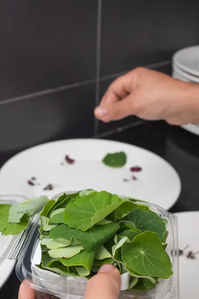 Bir şef, taze yapraklar ve yenilebilir çiçeklerle bir yemeği dikkatlice süsleyip yemek organizasyonları için zarif bir sunum hazırlar..