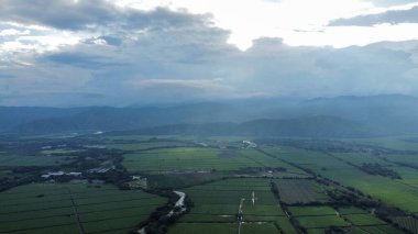 Şeflerin elleri gurme yemekleri yenilebilir çiçeklerle süslüyor, güzel yemek sanatları sergiliyor.