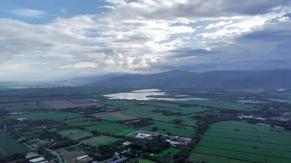 Şeflerin elleri gurme yemekleri yenilebilir çiçeklerle süslüyor, güzel yemek sanatları sergiliyor.