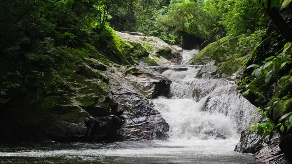 Canlı yeşil bitki örtüsüyle çevrili kayalar arasında çağlayan bir şelale manzaranın doğal güzelliğini ve sükunetini gözler önüne seriyor..