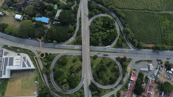 Şeflerin elleri gurme yemekleri yenilebilir çiçeklerle süslüyor, güzel yemek sanatları sergiliyor.