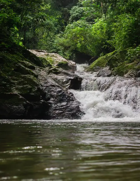 Sakin bir şelale taşların üzerinde yavaşça akar, gelişen yeşil bitki örtüsüyle kaplanır, dokunulmamış doğanın özünü yakalar..