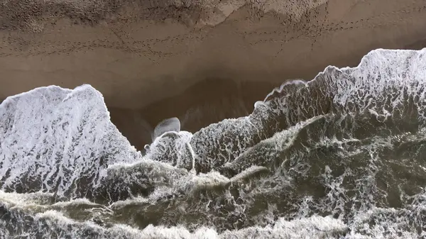 Beyaz köpüklü dalgaların ıslak kumla nazikçe buluştuğu sakin, ıssız bir sahil. Rahatlama ve kıyı temaları için mükemmel.