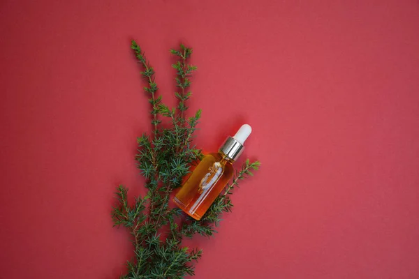 Mockup Van Glazen Dropper Fles Met Essentiële Olie Kerstboom Tak — Stockfoto