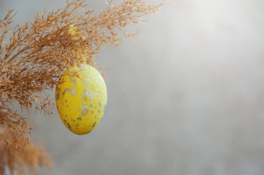 Yellow Easter egg hanging on branch of dry reed grass on gray background. Bright sun rays. Happy Easter. Card with Copy Space for text.