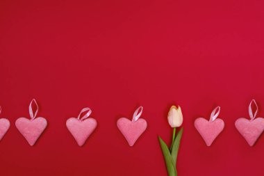 One tulip among pink hearts on red background. Concept of greetings for St. Valentine, day of all lovers. Greeting card for mother's day, birthday and wedding invitation. Card with copy space