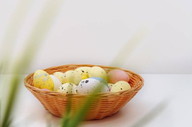 Happy Easter. Multicolored eggs in wooden plate on white background. Defocused focus on foreground on green grass. Spring holiday. Copy space for text. Front view