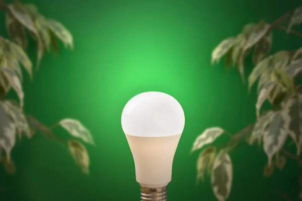 Green energy. Light lamp glowing on green plant background. Concept of Earth Day, energy-efficient lighting, or transition to renewable energy sources important to world. Copy Space