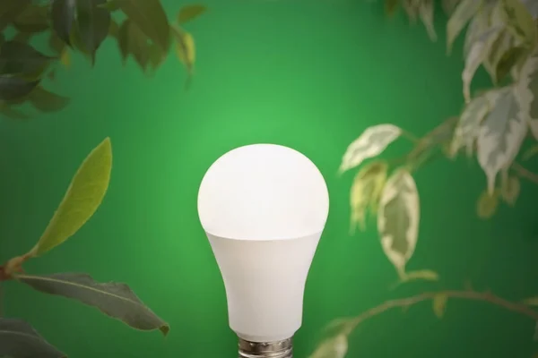 Green energy. Close-up light lamp glowing on green plant background. Concept of Earth Day, energy-efficient lighting, or transition to renewable energy sources important to world. Copy Space