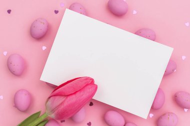 Paskalya kartpostalı. Beyaz kartla kutlama ya da davet için davetiye hazırlamak paskalya çikolatası pembe yumurtalarında yatar. Kırmızı kapalı lale. Işıldayan kalpler. İyi tatiller. Boşluğu kopyala