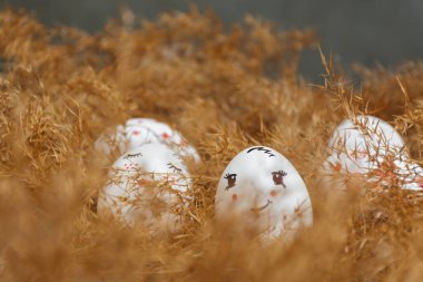 Paskalya kartı. El yapımı Paskalya yumurtaları kuru doğal otların üzerinde yatar. Nazik yüzler ve kırmızı kalpler çizdim. Kuru altın kamış. Ön plana odaklı değil. İyi tatiller. Minimalist tarzda. Boşluğu Kopyala