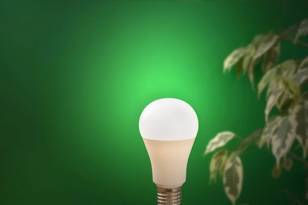 绿色能源 在绿色植物背景上发光的灯 地球日的概念 节能照明 环境保护对世界很重要 复制空间 — 图库照片