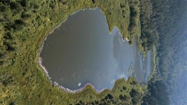 Dağ Manzarasının Etrafındaki Ormandaki Göl Yeşil Ağaçların Havadan Görünüşü Kanada — Stok video