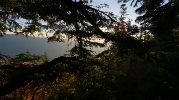 Καναδικό Τοπίο Φθινοπωρινά Χρώματα Κατά Διάρκεια Ηλιόλουστο Ηλιοβασίλεμα Ελκ Μάουντεν — Αρχείο Βίντεο