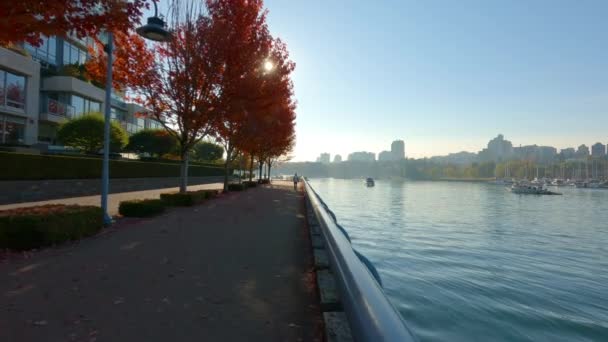 Seawall False Creek Modern Stad Sunny Fall Season Sunrise Vancouver — Stockvideo