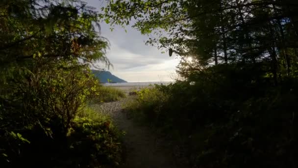 太平洋沿岸の砂浜ビュー サンセット スカイ サンヨゼフ湾 ケープスコット州立公園 北バンクーバー島 カナダ カナダの自然背景 シネマティック4K — ストック動画