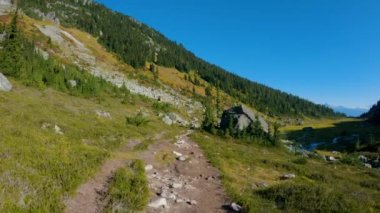 Kanada Dağ Manzarası 'nda Yeşil Ağaçlı Yürüyüş Yolu. Sunny Fall sezonu. Whistler ve Squamish yakınlarındaki Brandywine Meadows 'da yürüyüş, British Columbia, Kanada. Doğa Arkaplanı. Sinematik