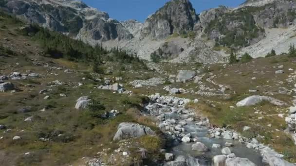 Río Cascada Con Árboles Verdes Canadian Mountain Landscape Brandywine Meadows — Vídeo de stock