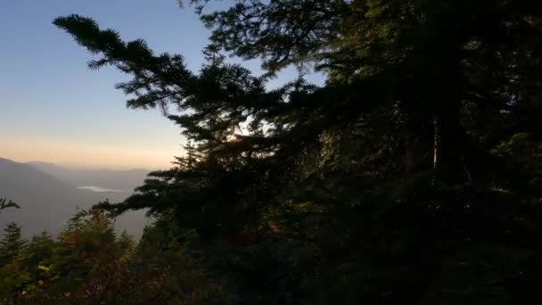 Paesaggio Canadese Con Colori Autunnali Durante Tramonto Soleggiato Elk Mountain — Video Stock