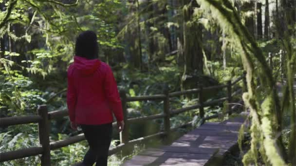Женщина Турист Парке Линн Каньон Северный Ванкувер Британская Колумбия Канада — стоковое видео