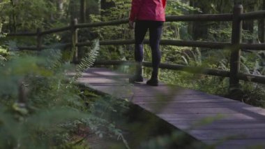 Lynn Canyon Parkı, Kuzey Vancouver, British Columbia, Kanada 'da kadın yürüyüşçü. Yağmur Ormanları 'nda Tahta Yürüyüş Yolu. Sunny Fall sezonu. Macera Yolculuğu. Yavaş Hareket