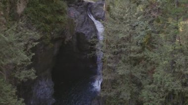 Taze su Kanada Doğa 'sında kayaların etrafından dökülüyor. Lynn Vadisi Kanyonları, Kuzey Vancouver, British Columbia, Kanada. 4k Sinema Yavaş Hareketi