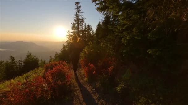 Przygodowa Kobieta Wędrówka Kanadyjskim Krajobrazie Jesiennymi Kolorami Podczas Słonecznego Zachodu — Wideo stockowe