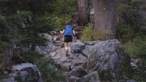 Abenteuerliche Wanderin Auf Dem Gipfel Der Kanadischen Berglandschaft Sonniger Abend — Stockvideo