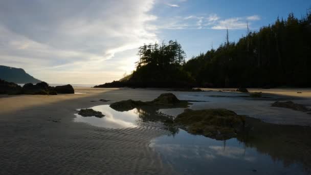 Piaszczysta Plaża Wybrzeżu Oceanu Spokojnego Zachód Słońca Zatoka San Josef — Wideo stockowe
