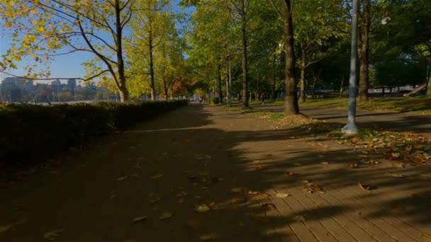 現代的なダウンタウンシティの偽クリークの防潮堤 晴れた秋の季節の日の出 バンクーバー ブリティッシュコロンビア州 カナダ — ストック動画