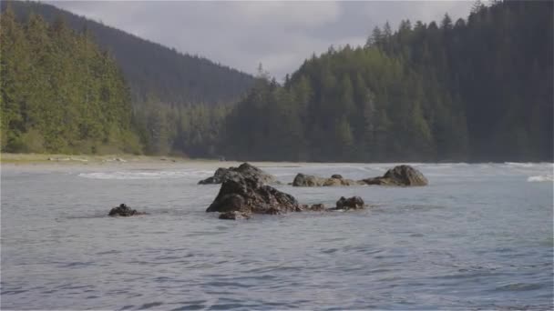 太平洋海岸景观上的沙滩 阳光灿烂的蓝天 加拿大不列颠哥伦比亚省温哥华岛北部斯科特角省级公园圣约瑟夫湾 加拿大自然背景 慢动作电影 — 图库视频影像