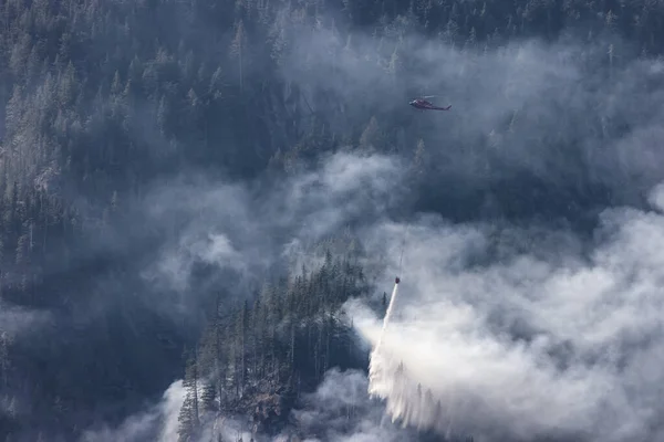 Hubschrauber Der Feuerwehr Fliegen Einem Heißen Sonnigen Sommertag Über Forest — Stockfoto