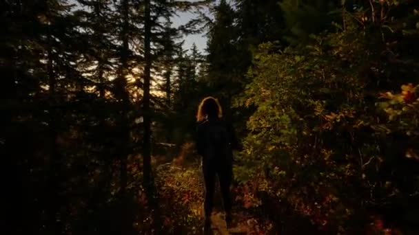 晴れた日没の間に秋の色とカナダの風景の中に冒険的な女性のハイキング エルク マウンテン チリワック バンクーバーの東 ブリティッシュコロンビア州 カナダ アドベンチャートラベルコンセプト スローモーション — ストック動画