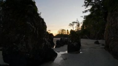 Pasifik Okyanusu Sahil Manzarası 'ndaki kumsal. Günbatımı Gökyüzü. San Josef Körfezi, Scott Burnu İl Parkı, Kuzey Vancouver Adası, BC, Kanada. Kanada Doğa Arkaplanı. Sinematik 4k