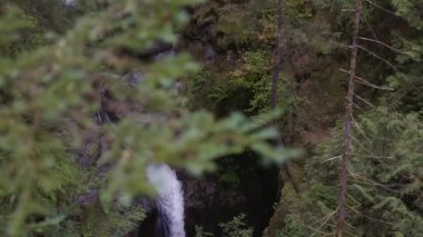 Taze su Kanada Doğa 'sında kayaların etrafından dökülüyor. Lynn Vadisi Kanyonları, Kuzey Vancouver, British Columbia, Kanada. 4k Sinema Yavaş Hareketi