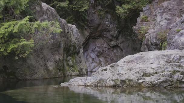 Frischwasser Das Den Fluss Entlang Felsen Der Kanadischen Natur Fließt — Stockvideo