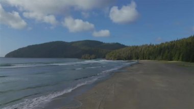 Pasifik Okyanusu Sahil Manzarası 'ndaki kumsal. Güneşli Mavi Gökyüzü. San Josef Körfezi, Scott Burnu İl Parkı, Kuzey Vancouver Adası, BC, Kanada. Kanada Doğa Arkaplanı. Sinematik 4k