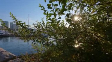 Modern bir Downtown City 'de False Creek' te deniz kenarı. Sunny Fall Sezon Gündoğumu. Vancouver, British Columbia, Kanada.