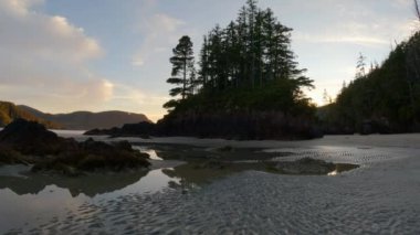 Pasifik Okyanusu Sahil Manzarası 'ndaki kumsal. Günbatımı Gökyüzü. San Josef Körfezi, Scott Burnu İl Parkı, Kuzey Vancouver Adası, BC, Kanada. Kanada Doğa Arkaplanı. Sinematik 4k