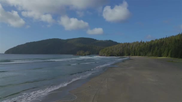 Plage Sable Sur Pacific Ocean Coast View Ciel Bleu Ensoleillé — Video
